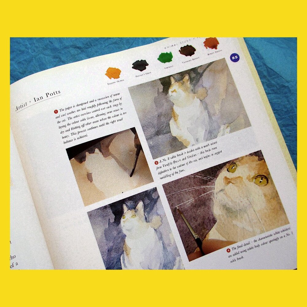 Practical Watercolour Painting: Comprehensive Guide to Materials & Techniques - Picture 7 of 16